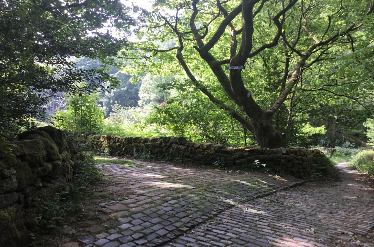 Tyas Slaithwaite
