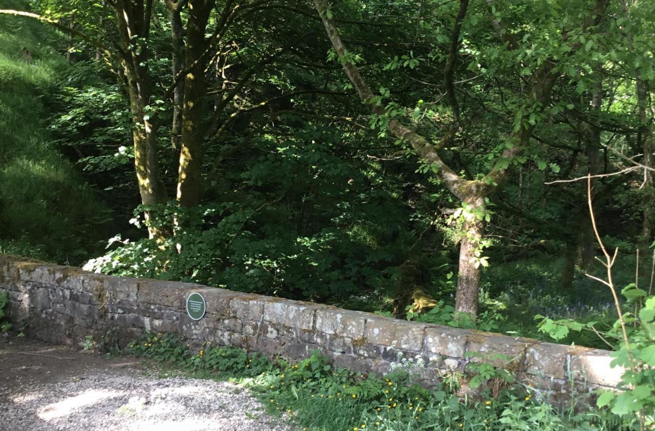 Tyas * Slaithwaite